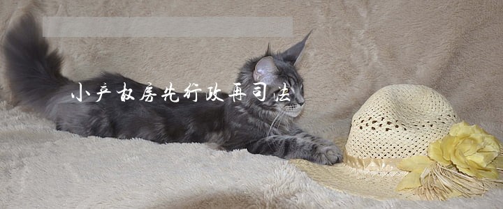 小产权房先行政再司法