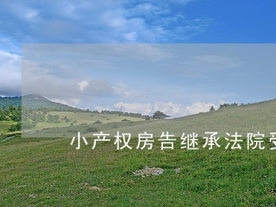 小产权房告继承法院受理吗 小产权房告继承法院受理吗