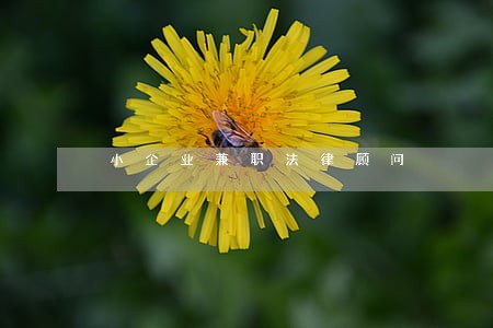 小企业兼职法律顾问 小企业兼职法律顾问