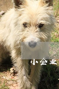 小企业因劳动合同法82条 小企业因劳动合同法82条