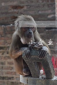 小企业怎么找法律顾问 小企业怎么找法律顾问