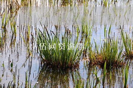 小伍网贷逾期 小伍网贷逾期