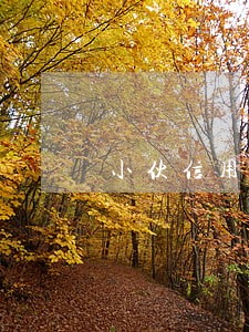 小伙信用卡逾期 小伙信用卡逾期
