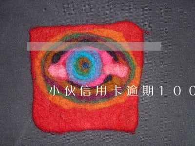 小伙信用卡逾期100万