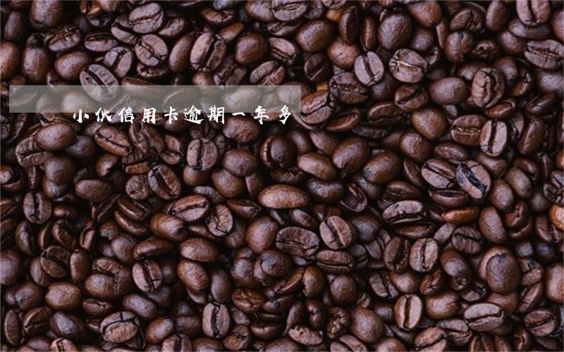 小伙信用卡逾期一年多 小伙信用卡逾期一年多