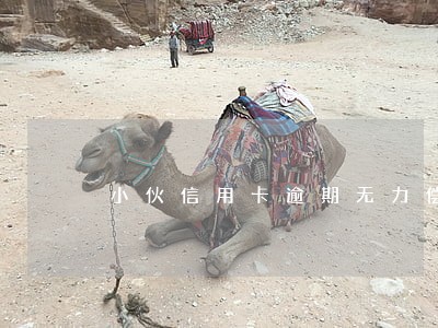 小伙信用卡逾期无力偿还 小伙信用卡逾期无力偿还