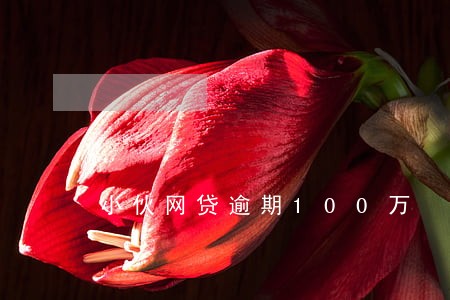 小伙网贷逾期100万 小伙网贷逾期100万