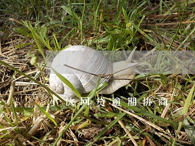 小伙网贷逾期协商 小伙网贷逾期协商