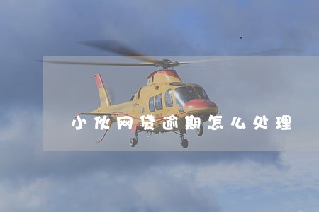小伙网贷逾期怎么处理 小伙网贷逾期怎么处理