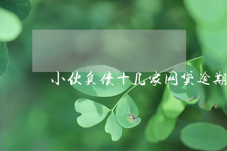 小伙负债十几家网贷逾期 小伙负债十几家网贷逾期