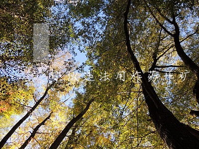小伙违法用炸药开矿