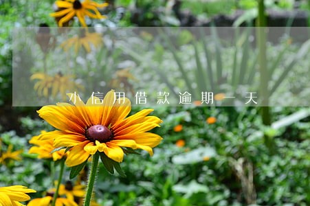 小信用借款逾期一天 小信用借款逾期一天