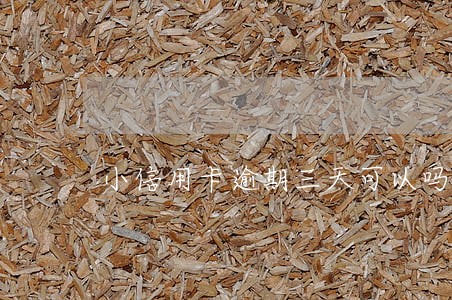 小信用卡逾期三天可以吗 小信用卡逾期三天可以吗