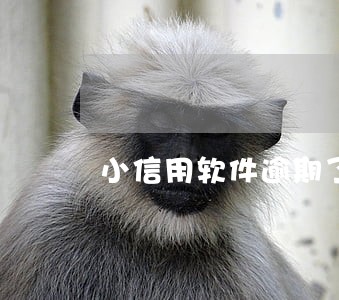 小信用软件逾期了 小信用软件逾期了