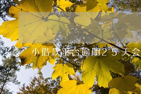 小借款平台逾期25天会怎么样 小借款平台逾期25天会怎么样