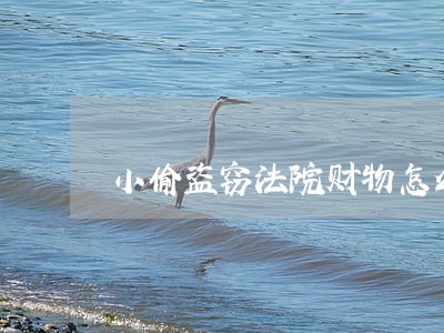 小偷盗窃法院财物怎么处理 小偷盗窃法院财物怎么处理