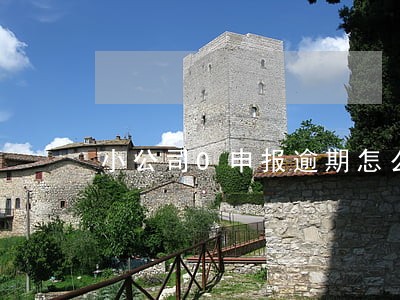 小公司0申报逾期怎么办 小公司0申报逾期怎么办