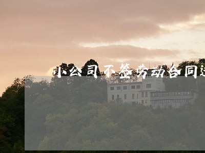 小公司不签劳动合同违法吗 小公司不签劳动合同违法吗