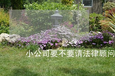 小公司要不要请法律顾问 小公司要不要请法律顾问