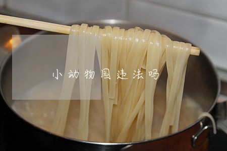小动物园违法吗 小动物园违法吗