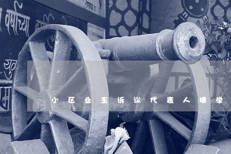 小区业主诉讼代表人推举程序 小区业主诉讼代表人推举程序