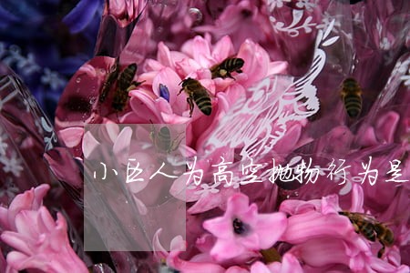小区人为高空抛物行为是否违法 小区人为高空抛物行为是否违法