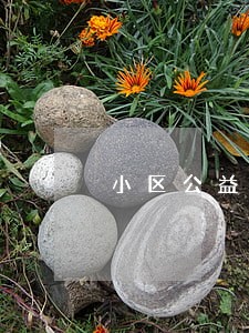 小区公益诉讼