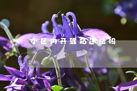 小区内开驿站违法吗 小区内开驿站违法吗
