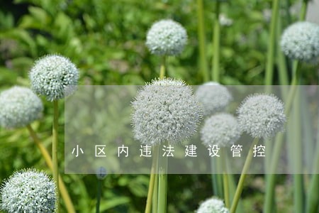 小区内违法建设管控