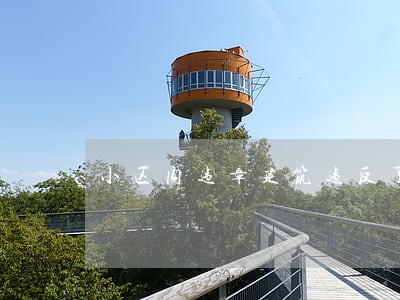 小区内违章建筑违反了哪些法规 小区内违章建筑违反了哪些法规