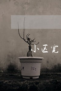 小区宽带自己出租违法吗 小区宽带自己出租违法吗