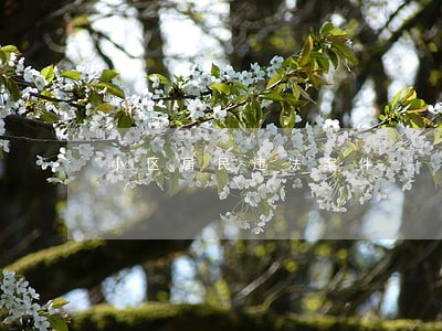 小区居民违法案件 小区居民违法案件