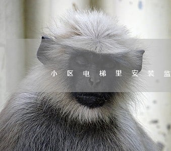 小区电梯里安装监控违法吗 小区电梯里安装监控违法吗