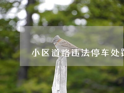 小区道路违法停车处罚条款
