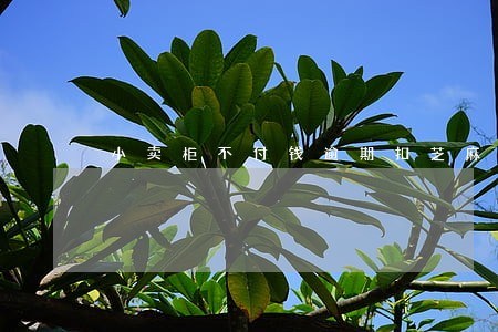 小卖柜不付钱逾期扣芝麻信用 小卖柜不付钱逾期扣芝麻信用