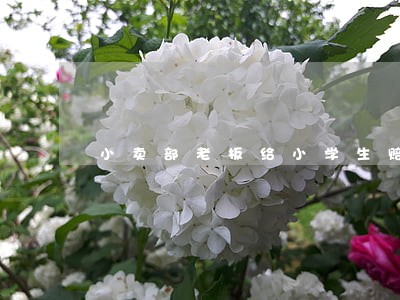 小卖部老板给小学生赔账违法 小卖部老板给小学生赔账违法