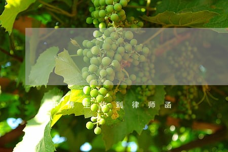小博主收到律师函 小博主收到律师函