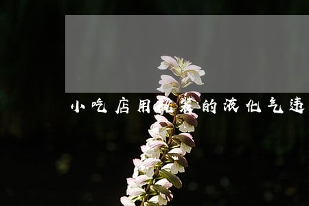 小吃店用瓶装的液化气违法吗