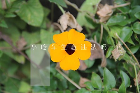 小吃车生意违法吗 小吃车生意违法吗