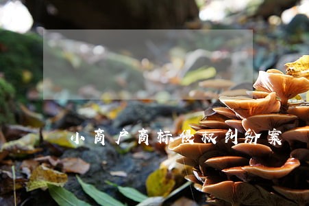 小商户商标侵权纠纷案 小商户商标侵权纠纷案