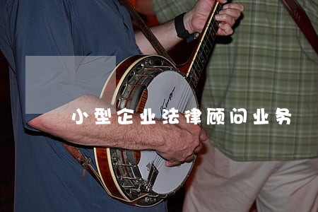 小型企业法律顾问业务 小型企业法律顾问业务
