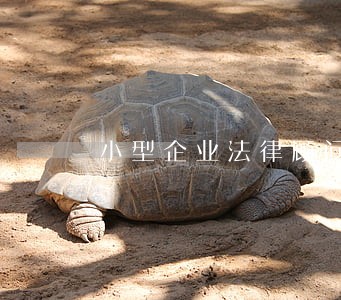 小型企业法律顾问哪家好 小型企业法律顾问哪家好