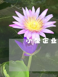 小型企业法律顾问平台 小型企业法律顾问平台