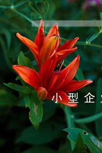 小型企业法律顾问费用是多少 小型企业法律顾问费用是多少