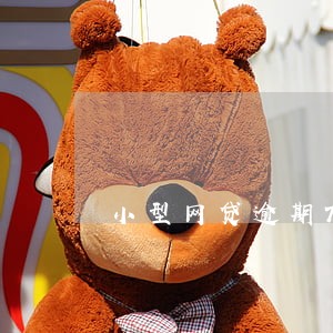 小型网贷逾期7次