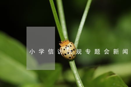 小学信访法规专题会新闻