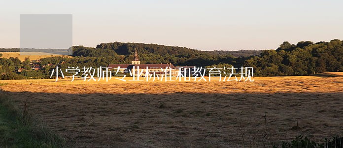 小学教师专业标准和教育法规