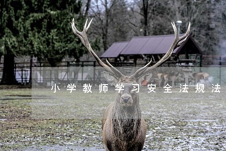 小学教师学习安全法规法律记录 小学教师学习安全法规法律记录
