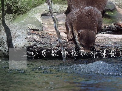 小学教师收取补课费违法 小学教师收取补课费违法