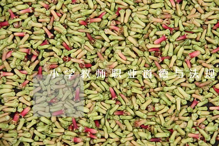小学教师职业道德与法规 小学教师职业道德与法规